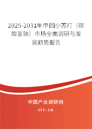 2025-2031年中國小蘇打（碳酸氫鈉）市場全面調研與發(fā)展趨勢報告