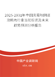 2025-2031年中國克霉唑陰道泡騰片行業(yè)當(dāng)前現(xiàn)狀及未來趨勢預(yù)測分析報告