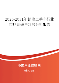 2025-2031年甘肅二手車行業(yè)市場調(diào)研與趨勢分析報(bào)告