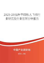 2024-2030年中國私人飛機行業研究及行業前景分析報告