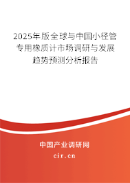 2025年版全球與中國小徑管專用橡質計市場調研與發展趨勢預測分析報告