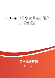 2012年中國水輪發電機組產業深度報告