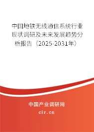 中國地鐵無線通信系統行業現狀調研及未來發展趨勢分析報告（2025-2031年）