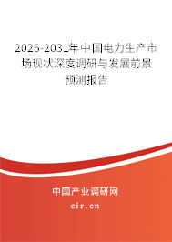 2025-2031年中國電力生產市場現狀深度調研與發展前景預測報告
