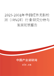 2025-2031年中國紅外無損檢測（IRNDT）行業研究分析與發展前景報告