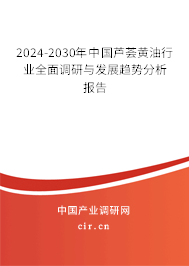 2024-2030年中國蘆薈黃油行業全面調研與發展趨勢分析報告