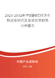 2025-2031年中國網紅經濟市場調查研究及發展前景趨勢分析報告