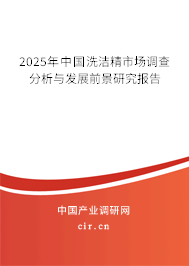 2025年中國洗潔精市場調查分析與發展前景研究報告