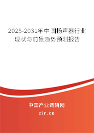 2025-2031年中國揚聲器行業現狀與前景趨勢預測報告