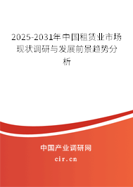 2025-2031年中國租賃業市場現狀調研與發展前景趨勢分析