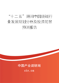 “十二五”期間中國燒堿行業(yè)發(fā)展規(guī)劃分析及投資前景預(yù)測報告