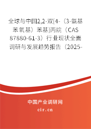 全球與中國2,2-雙[4-（3-氨基苯氧基）苯基]丙烷（CAS 87880-61-3）行業(yè)現(xiàn)狀全面調(diào)研與發(fā)展趨勢報告（2025-2031年）