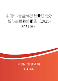 中國5G智能駕駛行業(yè)研究分析與前景趨勢報(bào)告（2025-2031年）