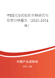 中國沉浸式投影市場研究與前景分析報告（2025-2031年）