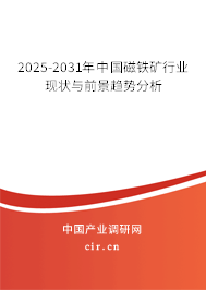 2025-2031年中國磁鐵礦行業現狀與前景趨勢分析