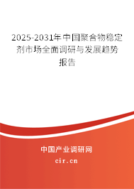 2025-2031年中國(guó)聚合物穩(wěn)定劑市場(chǎng)全面調(diào)研與發(fā)展趨勢(shì)報(bào)告