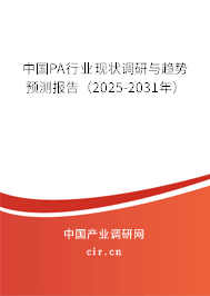 中國PA行業現狀調研與趨勢預測報告（2025-2031年）