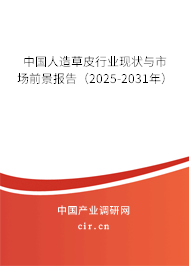 中國人造草皮行業(yè)現(xiàn)狀與市場前景報告（2025-2031年）