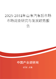 2025-2031年山東汽車后市場市場調查研究與發展趨勢報告