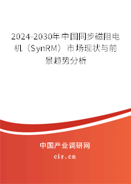 2024-2030年中國同步磁阻電機（SynRM）市場現狀與前景趨勢分析