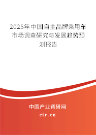 2025年中國自主品牌乘用車市場調查研究與發展趨勢預測報告