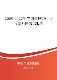 2009-2012年中國伽瑪刀行業投資戰略咨詢報告