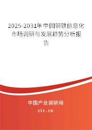 2025-2031年中國鋼鐵信息化市場調研與發展趨勢分析報告