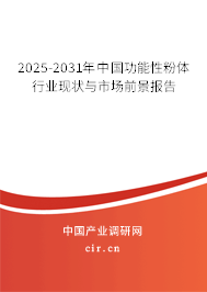 2025-2031年中國功能性粉體行業現狀與市場前景報告