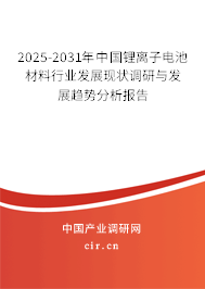 2025-2031年中國鋰離子電池材料行業發展現狀調研與發展趨勢分析報告