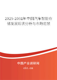 2025-2031年中國汽車智能倉儲(chǔ)發(fā)展現(xiàn)狀分析與市場前景