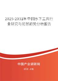 2025-2031年中國水下工具行業研究與前景趨勢分析報告