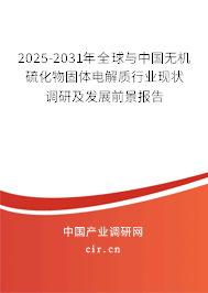 2025-2031年全球與中國無機硫化物固體電解質行業現狀調研及發展前景報告 2025-2031年全球與中國無機硫化物固體電解質行業現狀調研及發展前景報告
