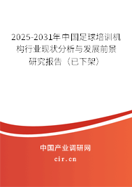 2025-2031年中國足球培訓機構行業現狀分析與發展前景研究報告（已下架）