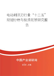 電動(dòng)剃須刀行業(yè)“十二五”規(guī)劃分析與投資前景研究報(bào)告 電動(dòng)剃須刀行業(yè)“十二五”規(guī)劃分析與投資前景研究報(bào)告
