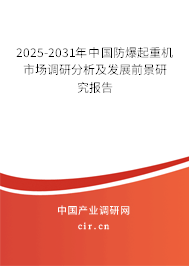 2025-2031年中國防爆起重機(jī)市場調(diào)研分析及發(fā)展前景研究報(bào)告