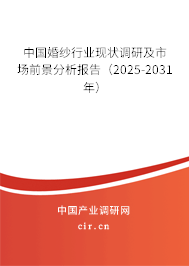 中國婚紗行業現狀調研及市場前景分析報告（2025-2031年）
