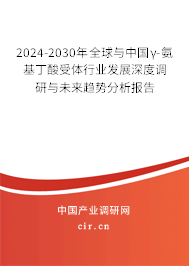 2024-2030年全球與中國(guó)γ-氨基丁酸受體行業(yè)發(fā)展深度調(diào)研與未來(lái)趨勢(shì)分析報(bào)告
