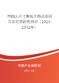 中國大尺寸面板市場調查研究及前景趨勢預測（2024-2030年）
