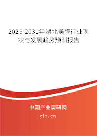 2025-2031年湖北美瞳行業現狀與發展趨勢預測報告