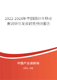 2022-2028年中國婚紗市場全面調研與發展趨勢預測報告