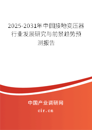 2025-2031年中國接地變壓器行業(yè)發(fā)展研究與前景趨勢預(yù)測報告