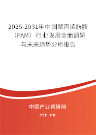 2025-2031年中國(guó)聚丙烯酰胺（PAM）行業(yè)發(fā)展全面調(diào)研與未來(lái)趨勢(shì)分析報(bào)告