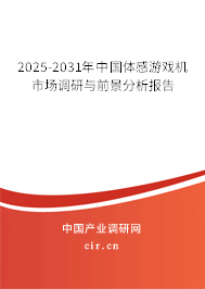 2025-2031年中國體感游戲機市場調(diào)研與前景分析報告
