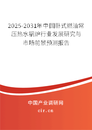 2025-2031年中國臥式燃油常壓熱水鍋爐行業發展研究與市場前景預測報告