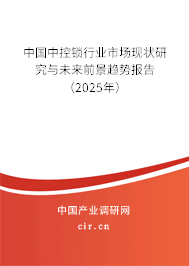 中國中控鎖行業市場現狀研究與未來前景趨勢報告（2025年）