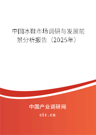 中國冰鞋市場調研與發展前景分析報告（2025年）