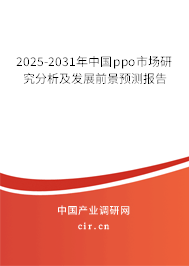 2025-2031年中國ppo市場研究分析及發展前景預測報告