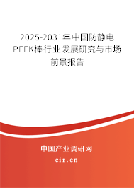 2025-2031年中國防靜電PEEK棒行業發展研究與市場前景報告