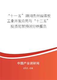 “十一五”期間貴州省煤炭工業(yè)開(kāi)發(fā)應(yīng)用與“十二五”投資前景預(yù)測(cè)分析報(bào)告