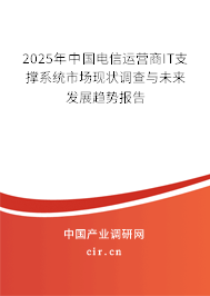 2025年中國電信運營商IT支撐系統市場現狀調查與未來發展趨勢報告